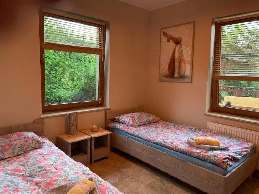 Villa Zakatek Rabowka Dom Ryby Bania Exterior foto